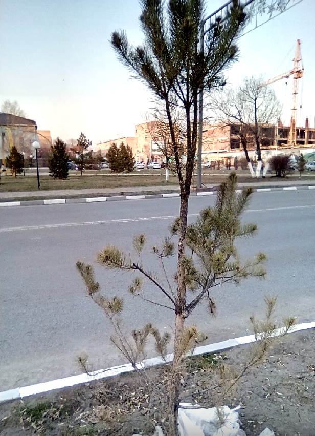 Безымянный4.png