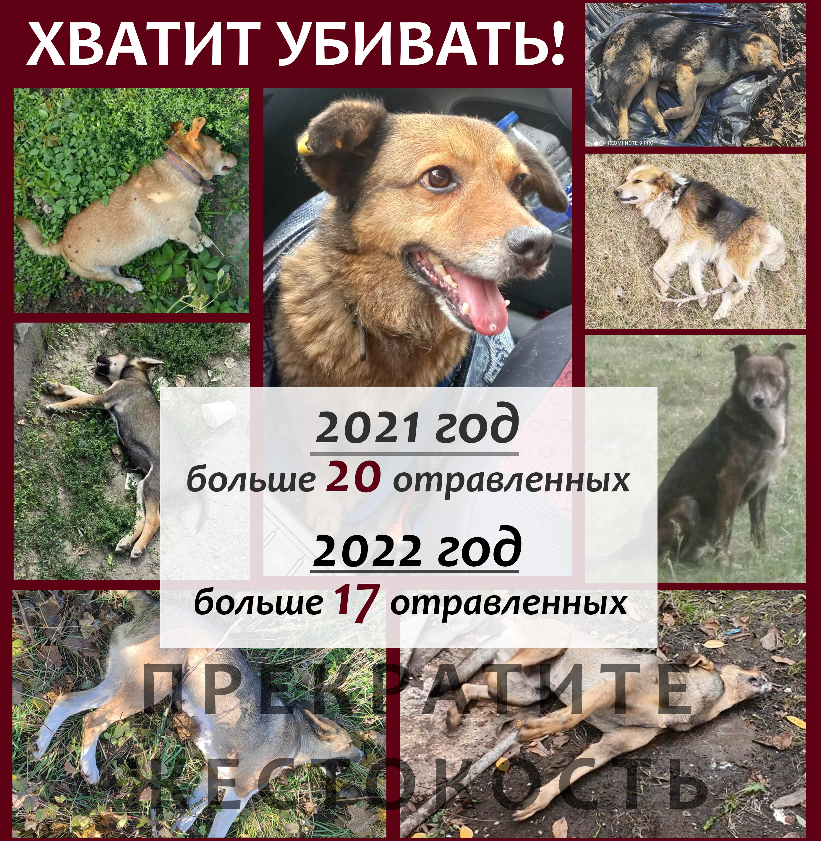 некуцй.jpg